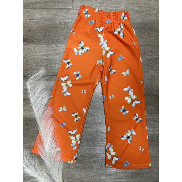 ΠΟΡΤΟΚΑΛΙ ΠΑΝΤΕΛΟΝΑ ΚΑΜΠΑΝΑ